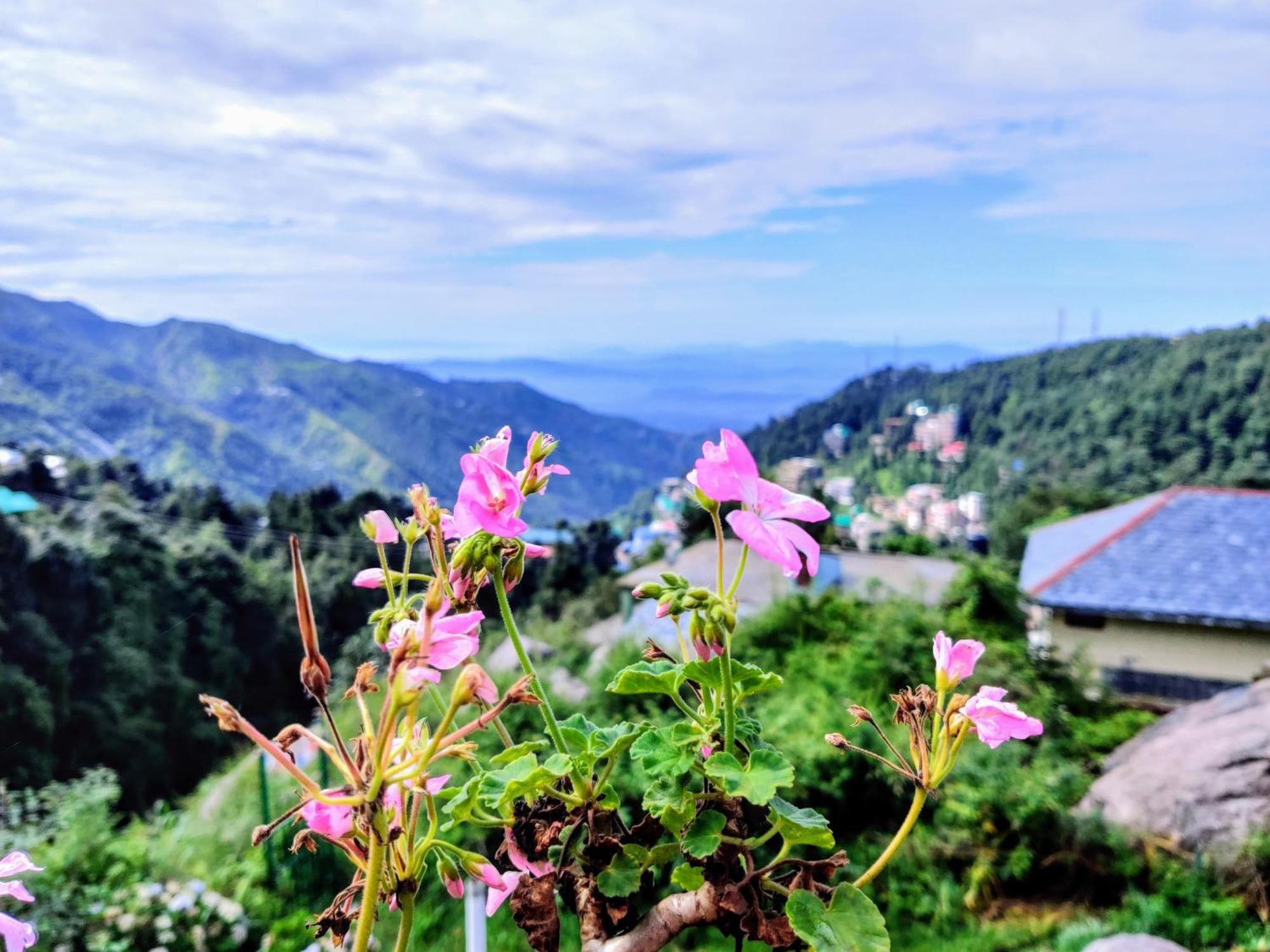 Utopia Hostels Dharamkot Mcleodganj ดารัมซาลา ภายนอก รูปภาพ